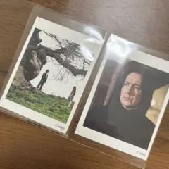 Item thumbnail for item 1a8acb8b-c17e-4653-9f4c-77f0a504cf54