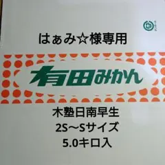 はぁみ☆様専用 木塾日南早生 2S〜S 5.0キロ入 8-3