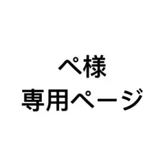 209 ぺ様専用ページ