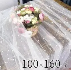 Item thumbnail for item e343dcc2-ad9c-490c-bd87-cfa57d1e77aa