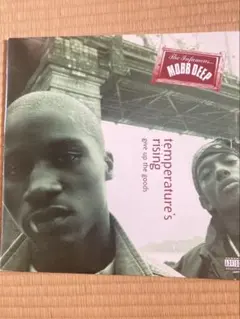 2026年最新】Mobb Deep: The Infamous 2LPの人気アイテム - メルカリ