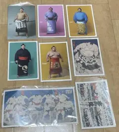 【完売品】大相撲　ポストカード　白鵬　竜電　錦木　逸ノ城　貴景勝他