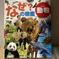 Item thumbnail for item 3015badb-444e-4d87-a638-e9db56f13609