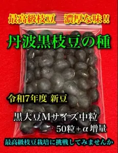 清水弘之様 リクエスト 2点 まとめ商品