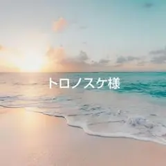 トロノスケ様 リクエスト 4点 まとめ商品