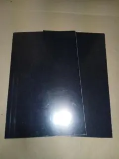 Item thumbnail for item 27aef54c-02cc-464e-aa0a-286a5964ac77