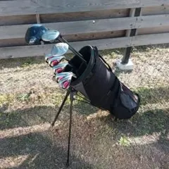 Item thumbnail for item d324d409-823c-4bf3-85fa-7a3fbc4a58c0