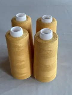 Item thumbnail for item 72d6dcfb-7ac5-457a-b718-ee2b0b96ae06