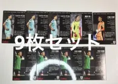 日本代表チップス  カード レギュラーカード 権田 川島 シュミット 中村