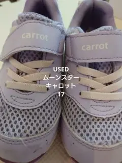 Item thumbnail for item 8f676cd5-c246-4226-9f33-f85de27d8c8f