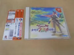 激レア】DVD店頭放映用”NINTENDO DS”『風来のシレン4』 - メルカリ