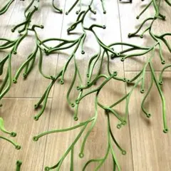 2026年最新】vitra algue アルギュの人気アイテム - メルカリ