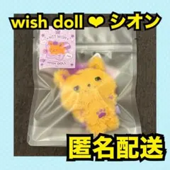 NCT WISH シオン WISH DOLL ぬいぐるみ STEADY - メルカリ