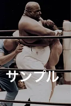 プロレス生写真　ヒールレスラー　20枚1組