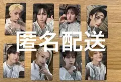 Stray Kids THIS & THAT HMV限定　B トレカ コンプ