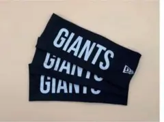 Item thumbnail for item 36b2b4bb-c5df-41c9-88ed-ea5c6bf1421b