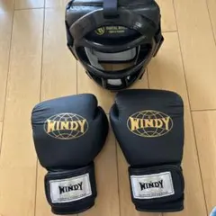 WINDY ボクシンググローブ MARTIAL WORLD キッズ用セット売りのサムネイル