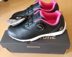 Item thumbnail for item 97c94921-34e9-4324-8397-6302311e1920