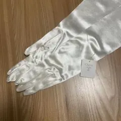 Item thumbnail for item 8caafb58-89e3-4e06-866c-d98f24e73fe2