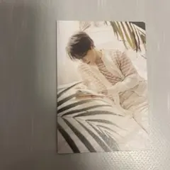 SEVENTEEN yourchoice トレカ　ディノ