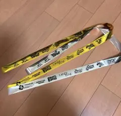 KAWAII LAB. SESSION 4周年ライブ 銀テープ カワラボ