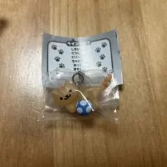 ねこあつめ2 ちゃとらさん めじるしアクセサリー ガチャ