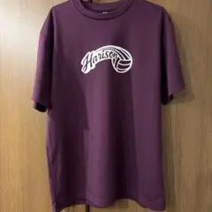 デサント インターハイ Tシャツ ALL JAPAN 陸上 バレーボール - メルカリ