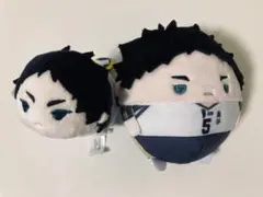 ハイキュー‼︎ 赤葦京治 もちマス グッズ-マスコット】もちもちマスコットMS ハイキュー!! vol.2 赤葦京