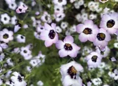 naotata様 リクエスト 3点 まとめ商品