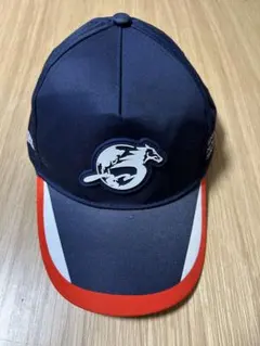 Item thumbnail for item 19bdf99e-9a5c-4354-ac14-7ae8936644c3