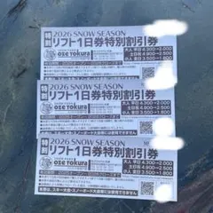 尾瀬戸倉　リフト券 2026年最新】尾瀬戸倉 リフト券の人気アイテム - メルカリ