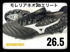 2025年最新】モレリアネオiiiβの人気アイテム - メルカリ