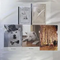 ティタン様 リクエスト 4点 まとめ商品