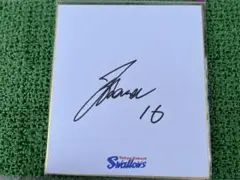 ヤクルトスワローズ　原樹里　直筆サイン色紙