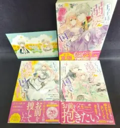 王子様に溺愛されて困ってます 1-4巻セット抜けあり