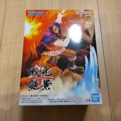 ワンピース DORRY フィギュア　戦光絶景　ONEPIECE
