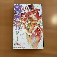 D.Gray-man 28