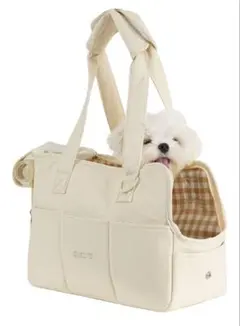 Item thumbnail for item 5f87a1a1-f4b0-4d2e-936d-6b8653eede4d