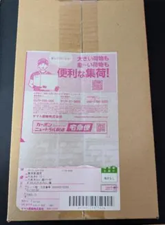 【新品未開封】ポケモンセンター スペシャルBOXヒロシマ(25年9月当選分)