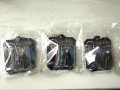 Harry Potter ブリスターチャームコレクション ハリー&ハーマイオニー