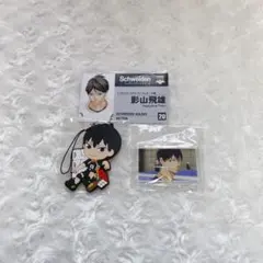 ハイキュー 影山飛雄 名刺カードコレクション