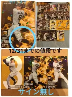 Item thumbnail for item 51c83bb1-1980-4a4c-b854-95fdf551cb01