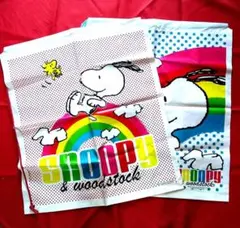 ビニール製の大きな巾着袋2枚