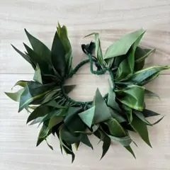 Item thumbnail for item ae6106a9-5649-4a19-b431-f4e8e789d2b1