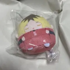 孤爪研磨 くじメイト ぬいくじ E賞