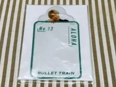 超特急 アロハ B9 アクリルキーホルダーカバー 1枚【新品未使用】