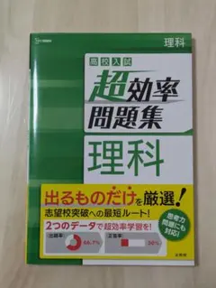 Item thumbnail for item 838e8f0c-cfab-41bf-acae-dd6d27fb0ff8