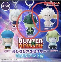 HUNTER × HUNTER めじるし　アクセサリー　キメラアント編 ~