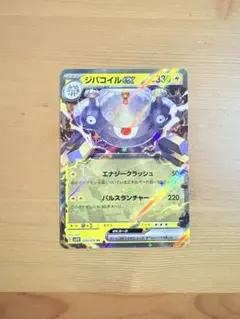 まとめ買い2枚300円、3枚目以降100円 ジバコイル028/078