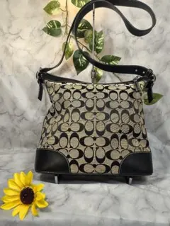 ✨コーチ✨ショルダーバッグ✨シグネチャー✨ブラック✨キャンバス✨レザー